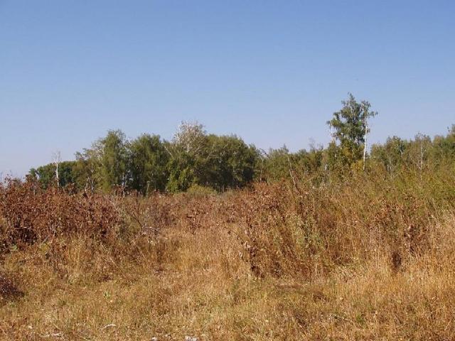 Looking from the confluence North.