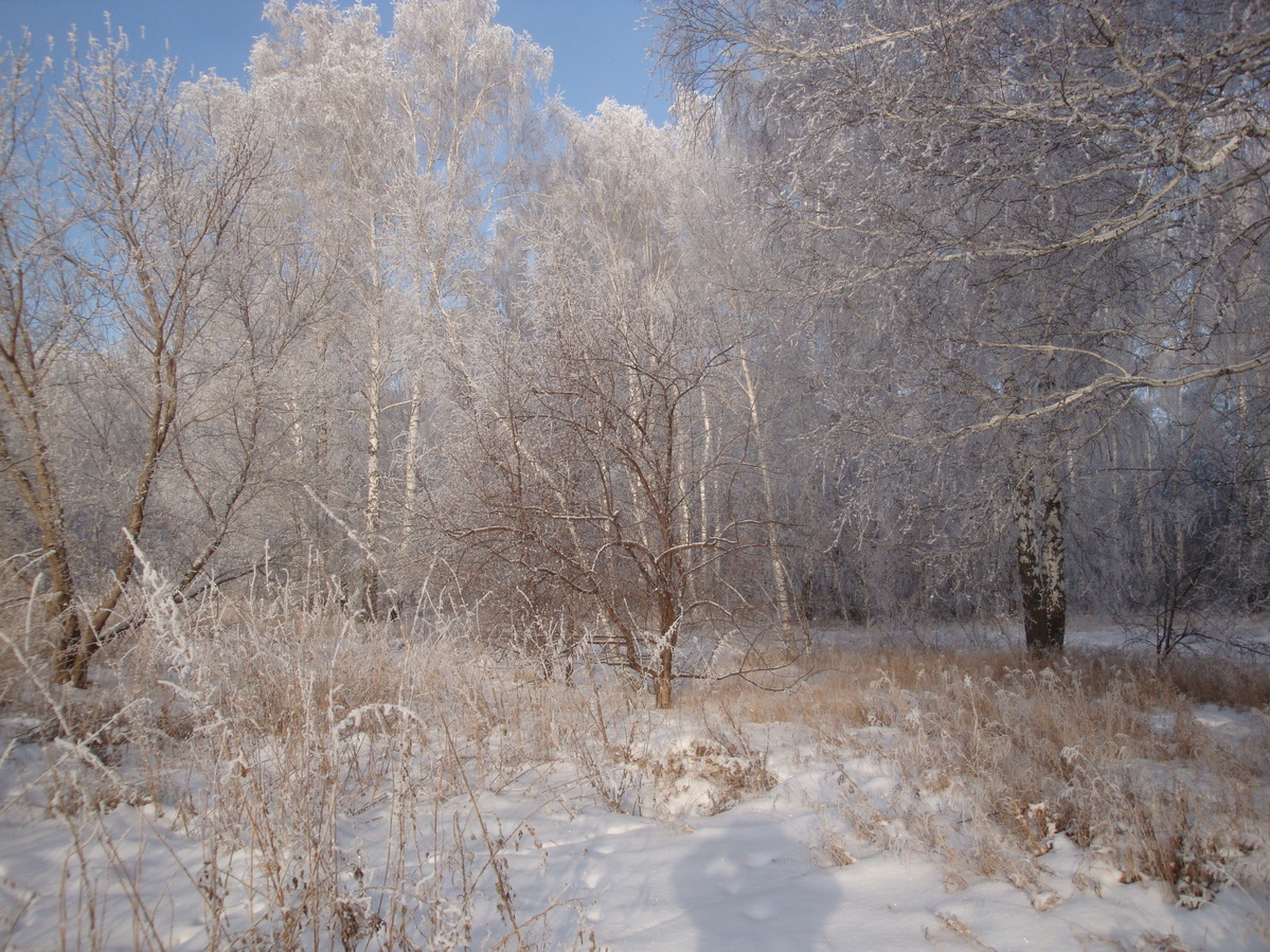 север / North