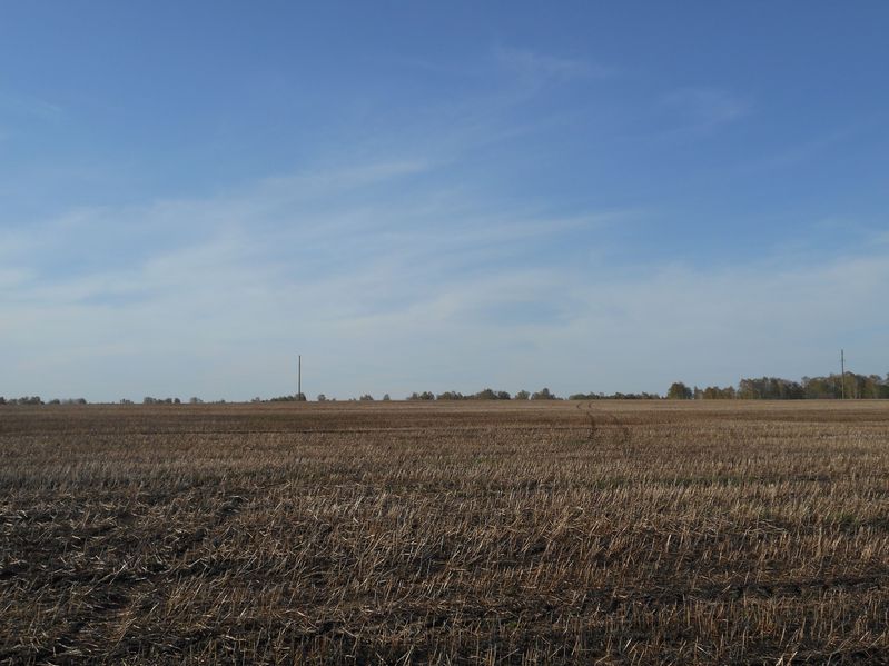 На север / North view