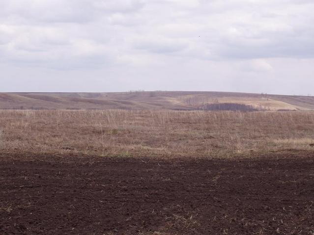 View from CP to the East.