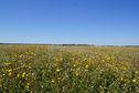 #3: На запад / To the west