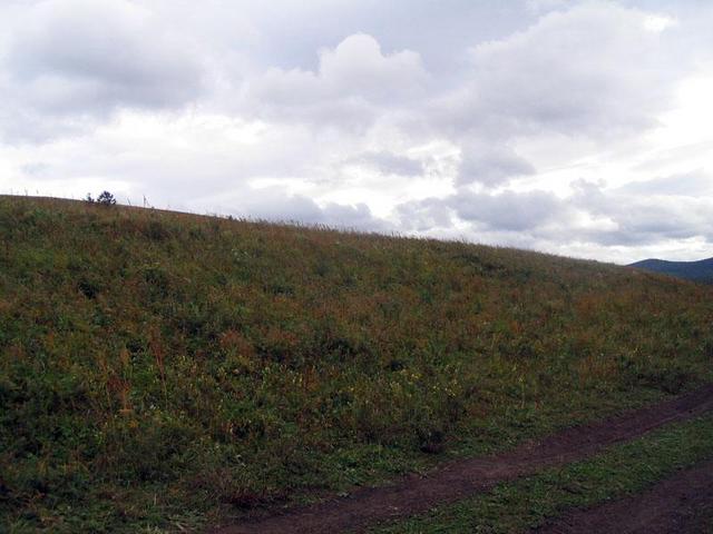 Look to the south