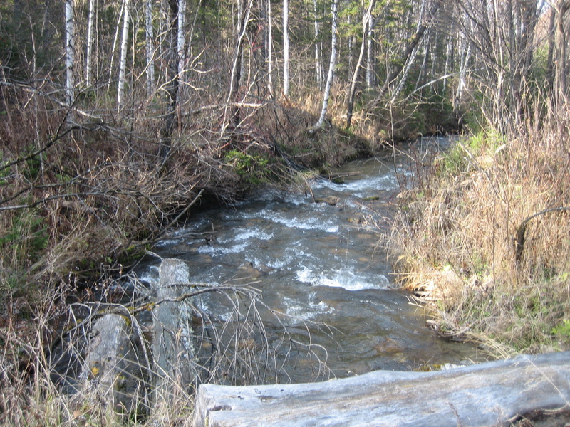 Srednyaya Shush river