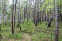 #3: North