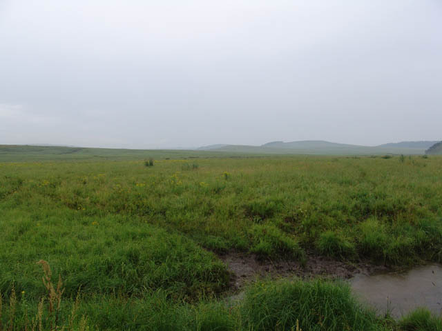 Sicht nach Nord - View to North