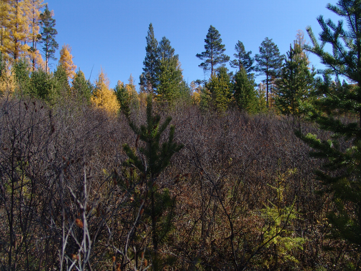 View towards east