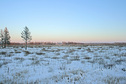 #3: East view/Вид на восток