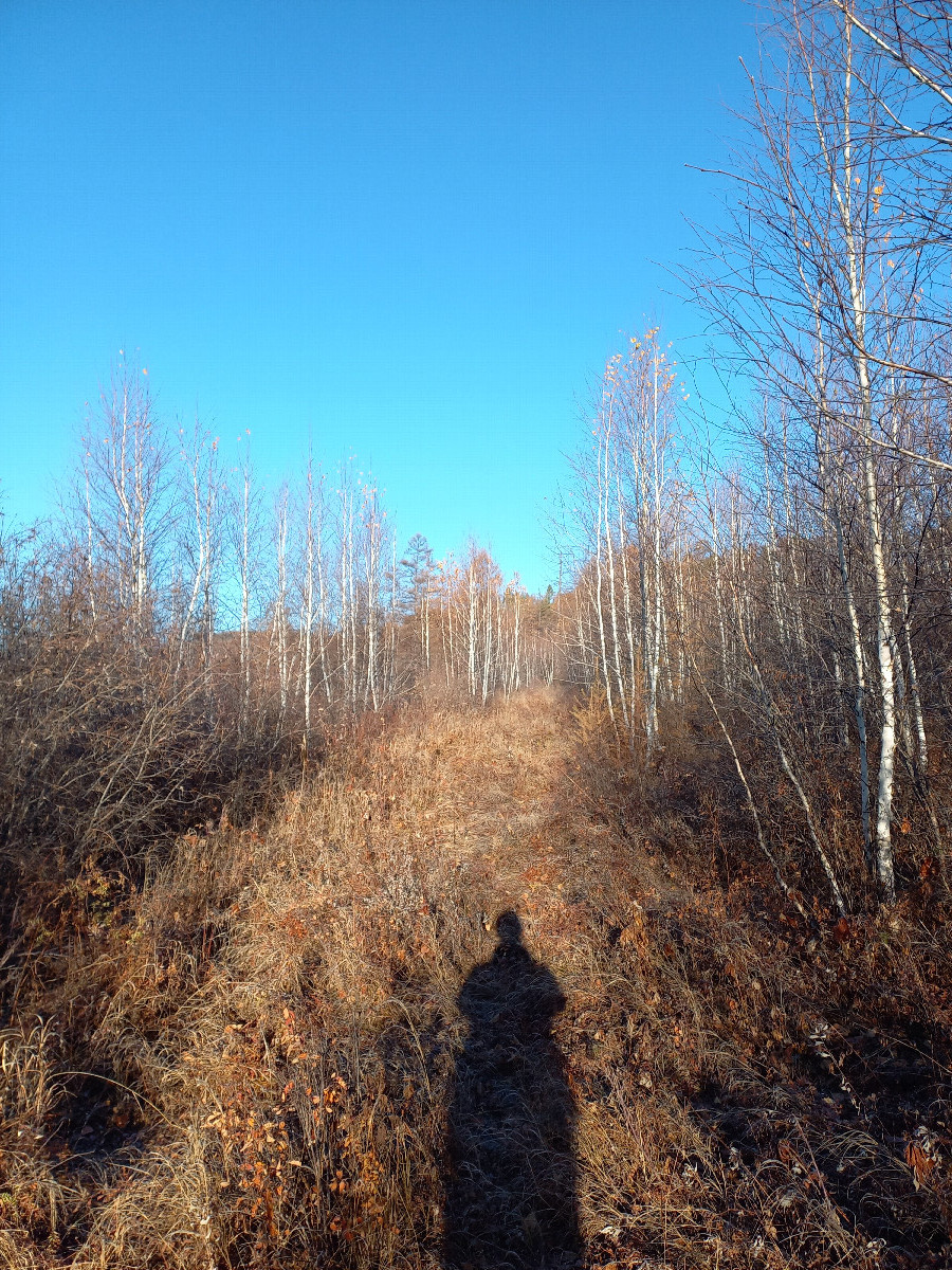 The road along the river 