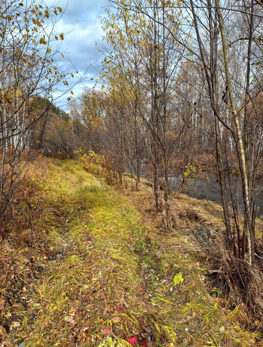 The road along Uldygycha river