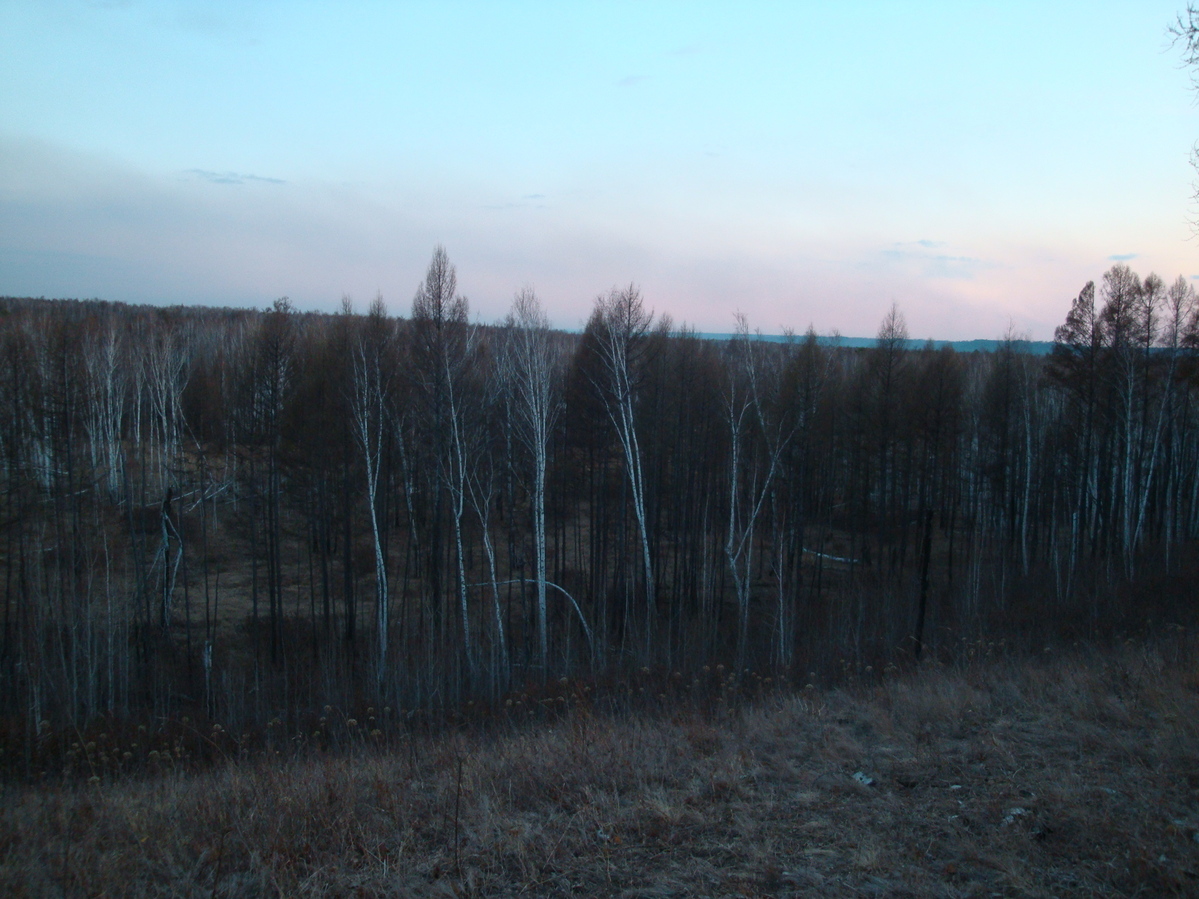 Местный пейзаж / Local landscape