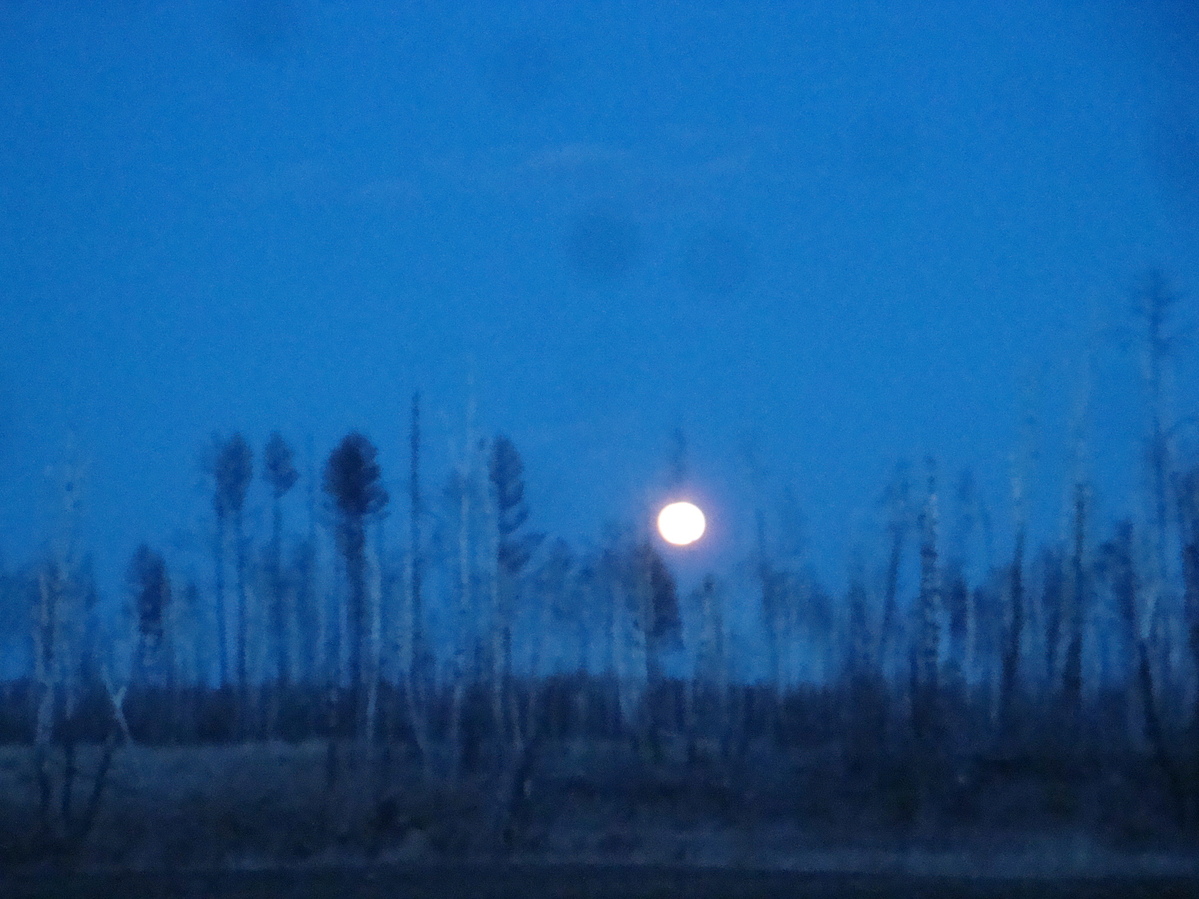 Полнолуние / Full moon