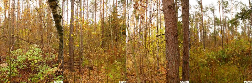 North-East-South-West views