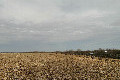Visit #4: [03-Apr-23]