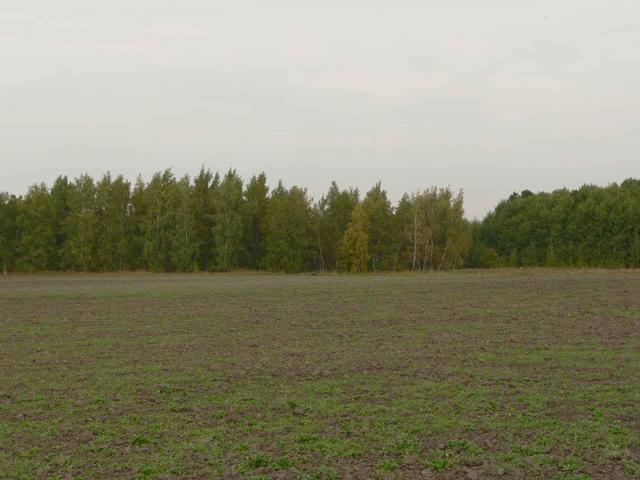 North view