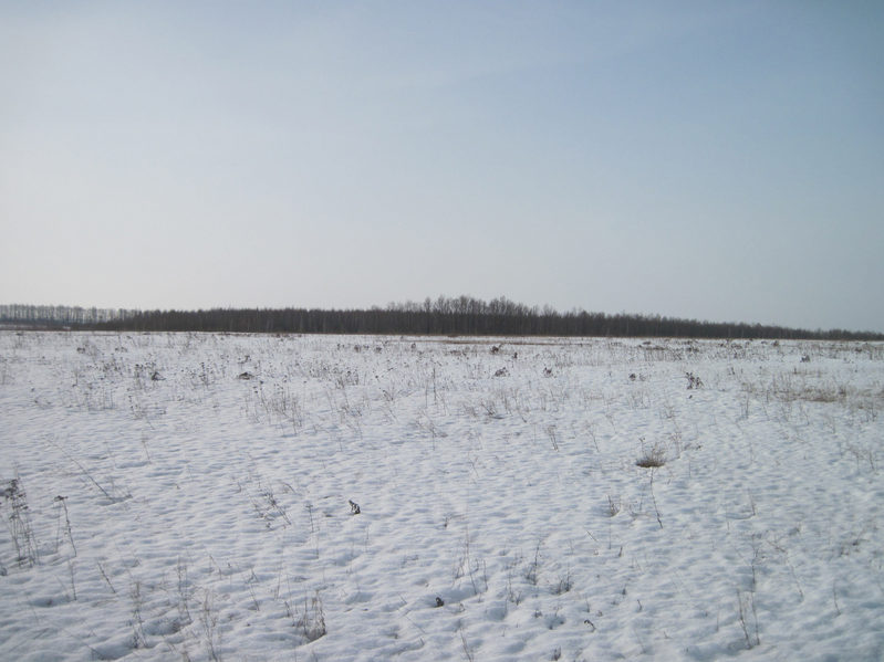 South view