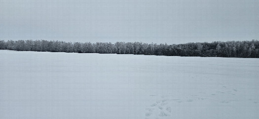 #1: Север / North