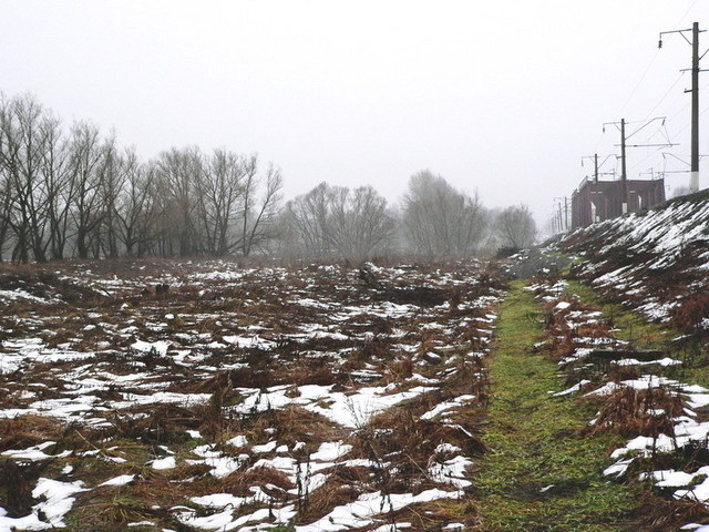 General view, CP is 60 m ahead and to the left