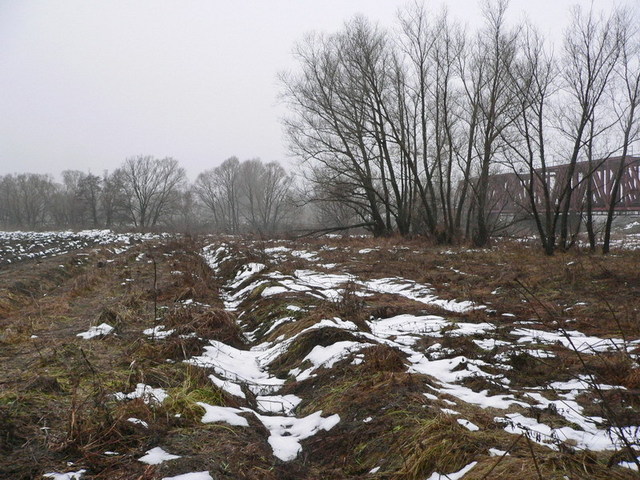 South view