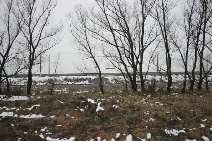 West view