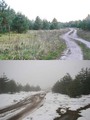 #7: 3.3 km to the CP. 24-Sep and 25-Nov