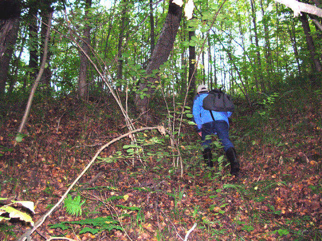 Walking across ravine