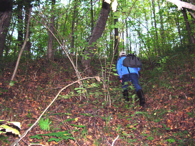 Walking across ravine