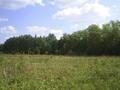 #2: View to the south
