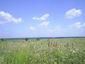 #4: View to the east