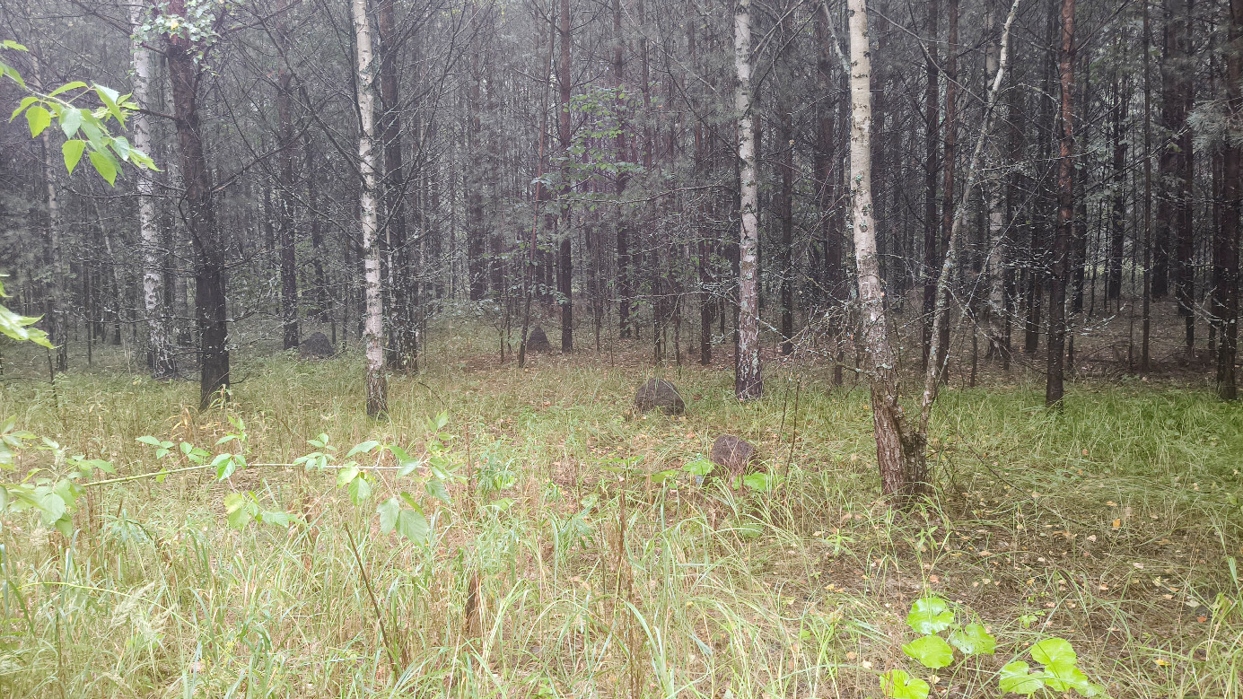 General view to the CP