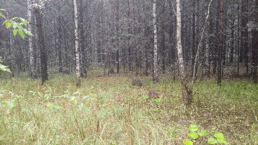 #1: General view to the CP