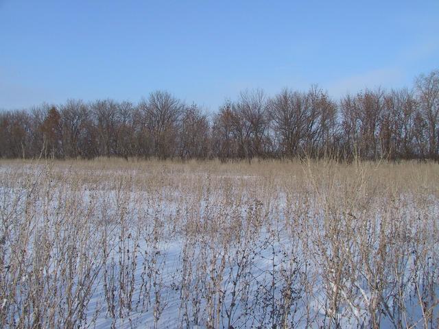 Looking East from Confluence point