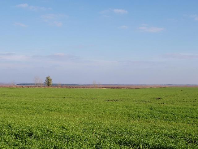 View from the confluence