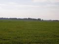 #2: View from the confluence