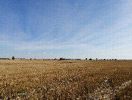 #2: East view