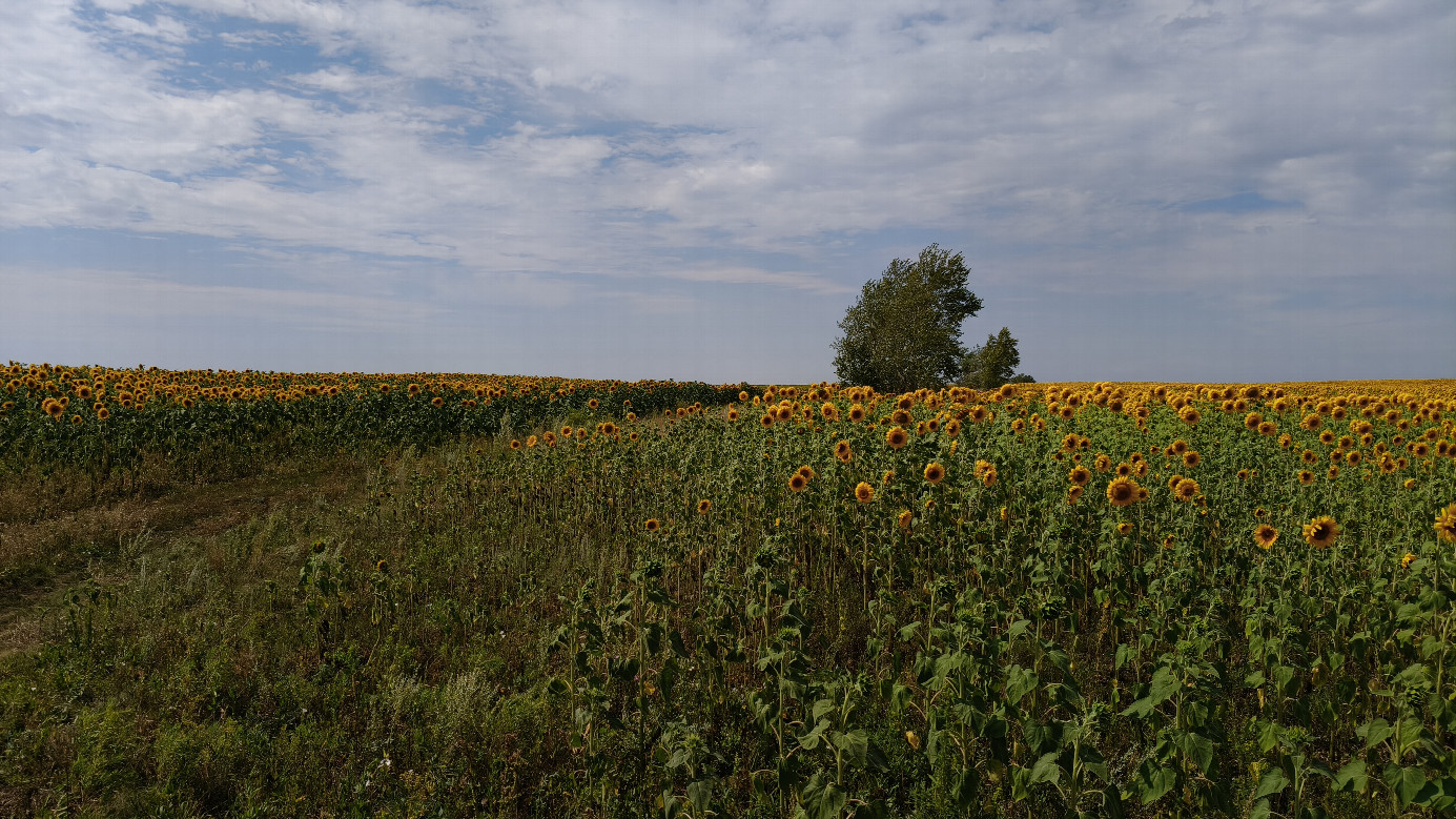 Parking spot. Confluence field is on the left