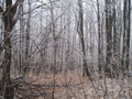 #2: North view