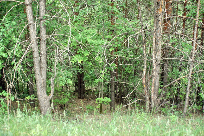 East view from the road