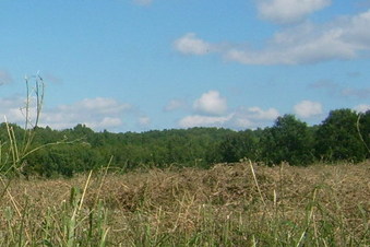 #1: View from the confluence point