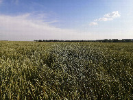 #3: South view