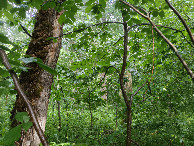 #3: East view