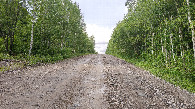 #8: Road near the parking, view north
