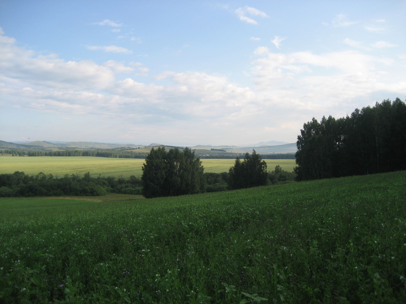 View to the North. Suramanovo village in the background