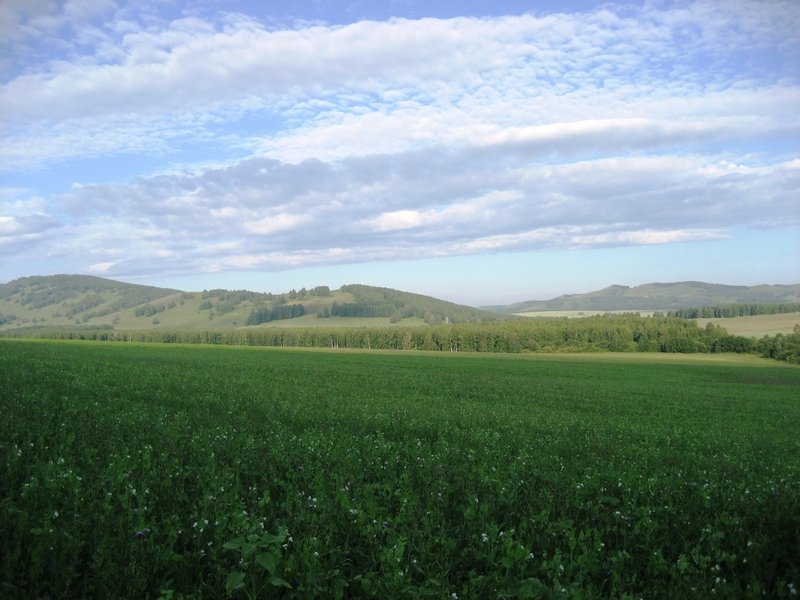 View to the West. Uzunkyr ridge and Yukaly ridge