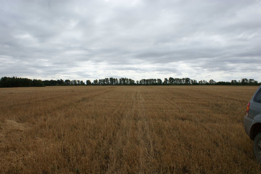 Вид на юг/South view