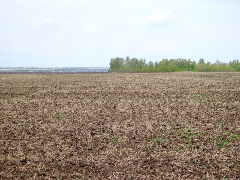 На север / Facing North