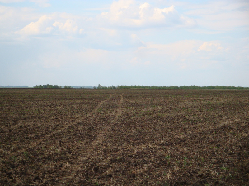 На запад / Facing West