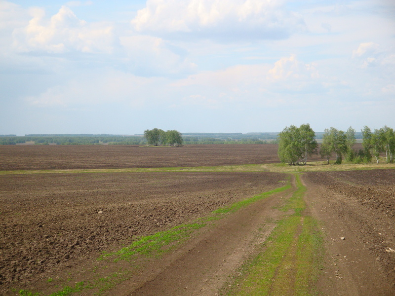 Местный пейзаж / Local landscape