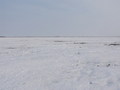 #4: На Север/Facing North