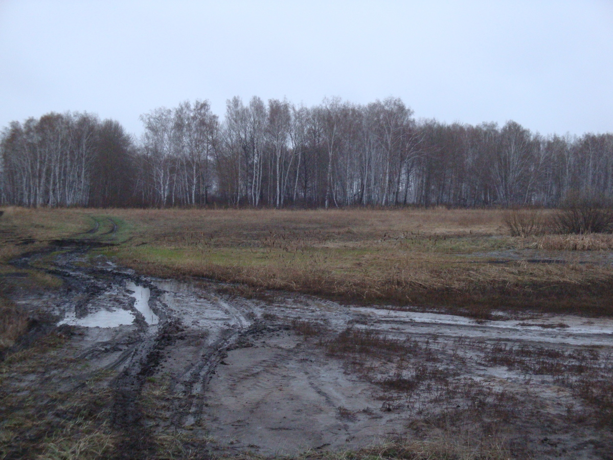 Полевая дорога / Dirt field road