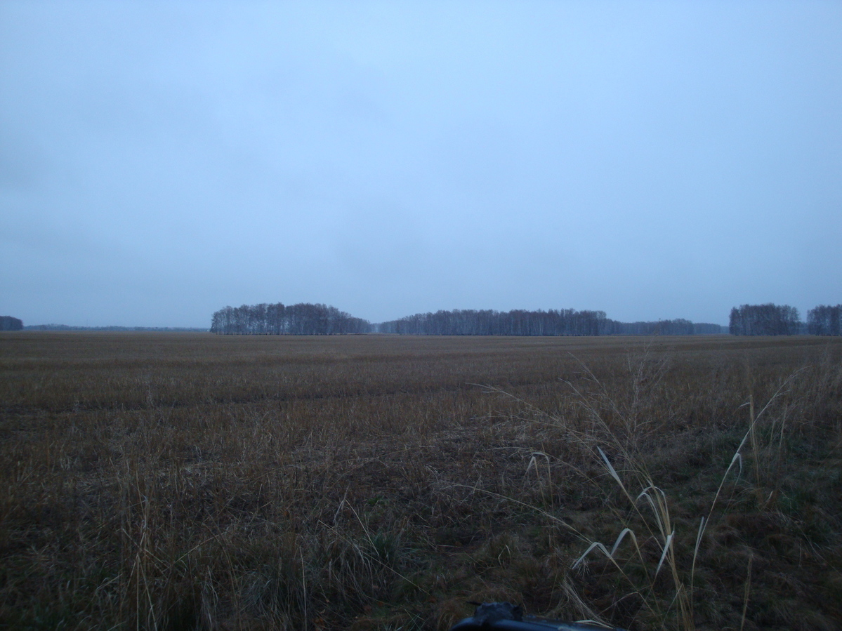 Местный пейзаж / Local landscape